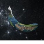 Banana Earth Society