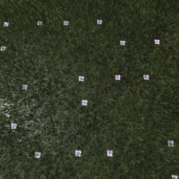 Grate Flowers