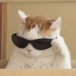 +Encanto Fan Group!+