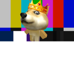 DOGE ONLY!!!!!