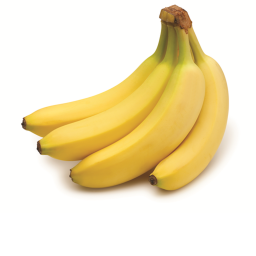The Banana store!