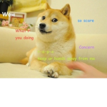 The doge boissssss (girls can join to XD)