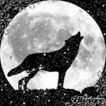 Midnight Wolf Studios