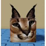 Ryan Gamer TV