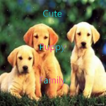 Cute puppy family