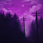 Nightz Vibez