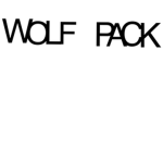 Wolfys studio