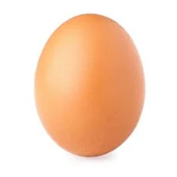 Just an egg icon
