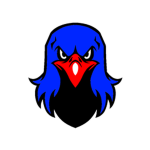 [CFL] New York Hawks Football