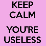 the best buddies group-useless