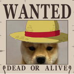 StrawHat Dogs