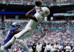 Brookhaven Dolphins