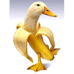 Epik Banana Group