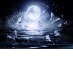 Midnight_Møøn