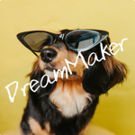 DreamMaker