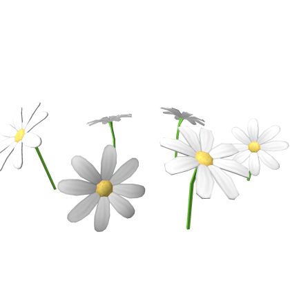 Flower Patch