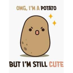 The funneh potato group