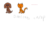 Dogs/cats camp