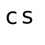 The Custom Store