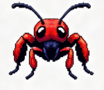 Red Velvet Wasp Colony