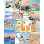 RHE SUNNY SUNSHINE’S