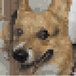 Inudogdog group