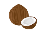 Best coconut fan club