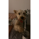 Bobo&lulu