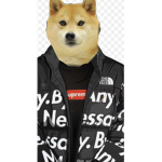 Doge jacket group