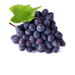 PurpleGrapeGang