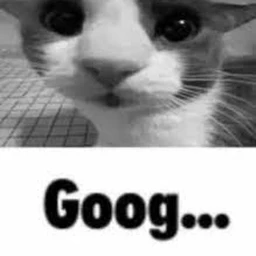Goog... Obby icon
