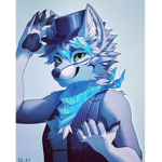 FurryClan