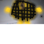 Magicfoxx2012 and ############# beanos army!!
