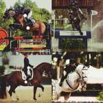 Horizon Hunter Jumpers & Eventing