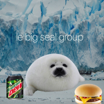 le big seal group