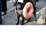 Doughnut and Coffee Nation
