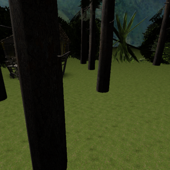 the jungle