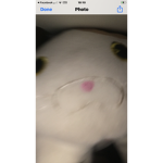sheeeeeeeeeeeeeeeeeeeeeeeshHhhHHhHhHHHh