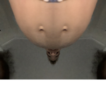 BELLy BOM BAY