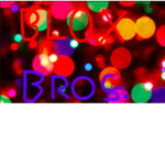 Blox Brothers!