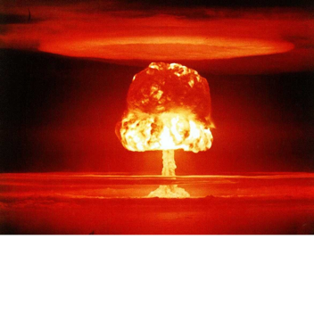 L I F E?   O R   S H E L T E R