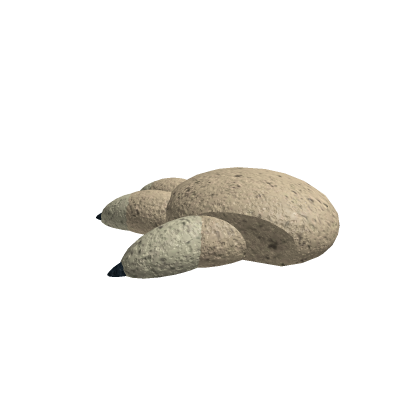 Paw