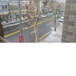 라더
