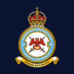 [RAF] No. 22 Squadron