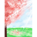 Cherrry Blossoms