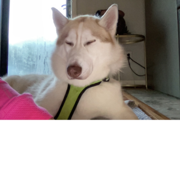 FUN LAND💅🙄 (come and enjoy!)