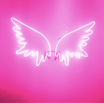 Sweetfly Universe