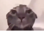 PENGUIN EMPlRE