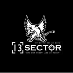 13 SECTOR
