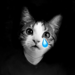 sofix <3
